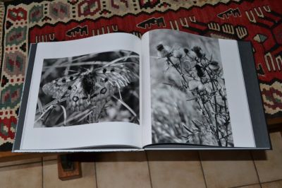 Livre Flo
