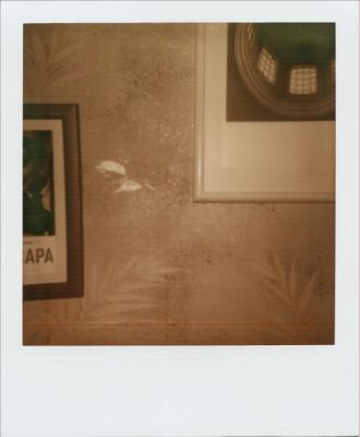 Premiers essais Impossible Project-2
