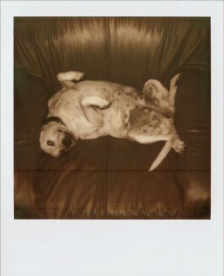 Essai scan
