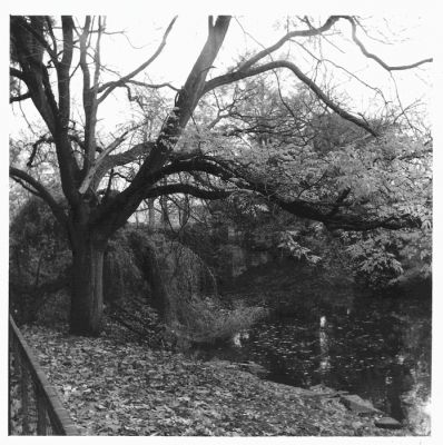 Lubitel 166b.2
