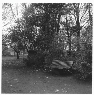 Lubitel 166b.3
