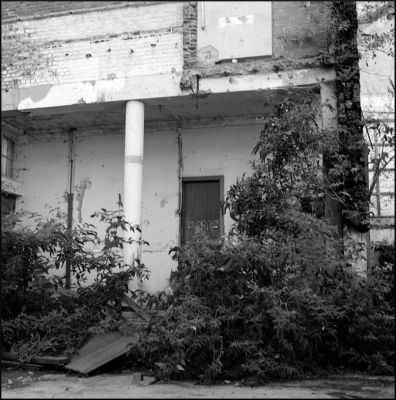 le "Palace"
