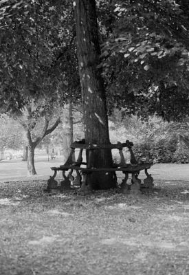 Banc sans fin
