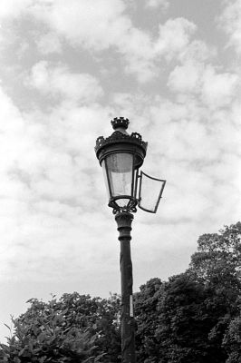Ouvrez la cage à lumière...
