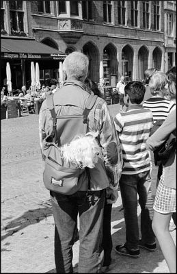 Une vie de chien
