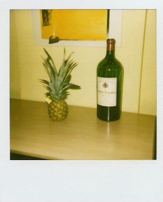 Polananas.8
