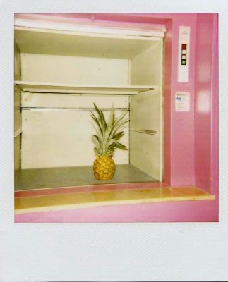 Polananas.7
