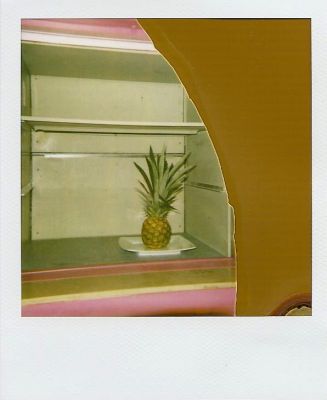 Polananas.6
