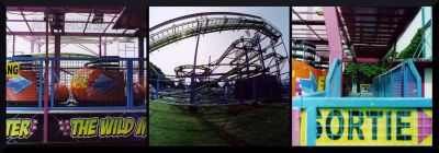 Wild Mouse
