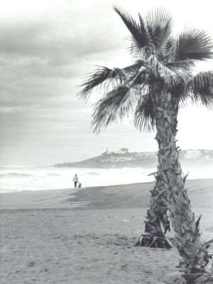 pl-sanjuan1.jpg
Une petite brise.
