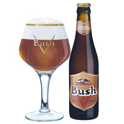 La Bush de David
