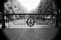 N109_0018_p.jpeg