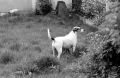 N121_0017_p.jpeg