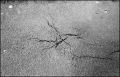 N131_0019_p.jpeg