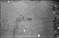 N131_0023_p.jpeg