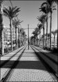 N39-0008_p.jpeg