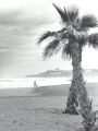 pl-sanjuan1~0.jpg