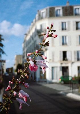 21juin-1-8.jpg