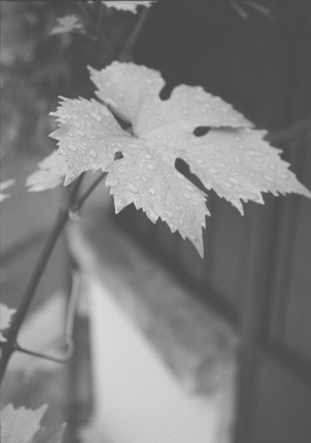 IMG_0019~1.png
