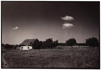 Mazury_parvus.jpg