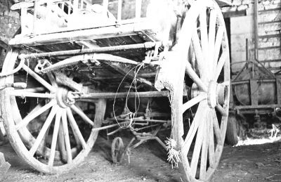p36_010_petit.jpg
