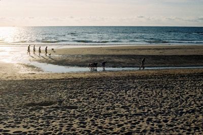 Plage de Scheveningen (Pays-Bas)
