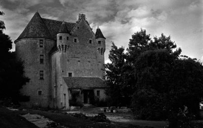 trix_rodinal_sd_manoir.jpg