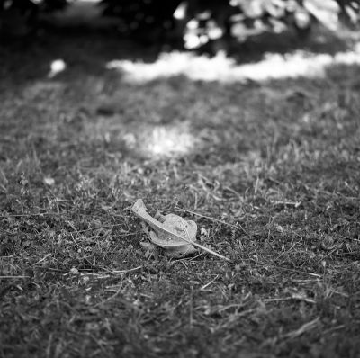 Automne
