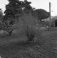 img005.jpg
