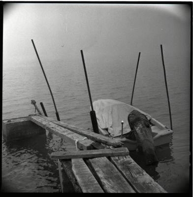 ponton brouillard
