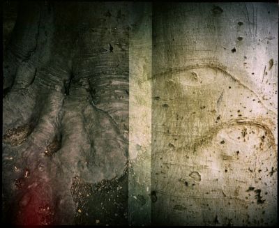 2 arbres
