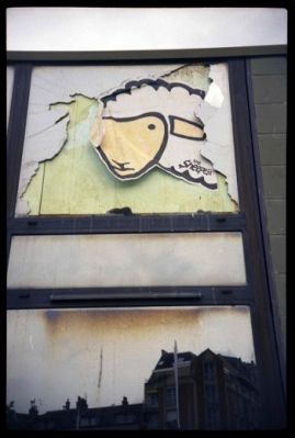 the_sheep_img010.jpg