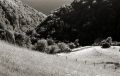 07_2011039.jpg