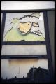the_sheep_img010.jpg