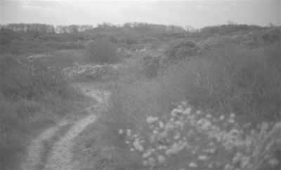 Automne_2009008.jpg