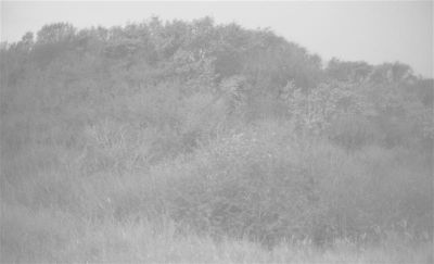 Automne_2009009.jpg