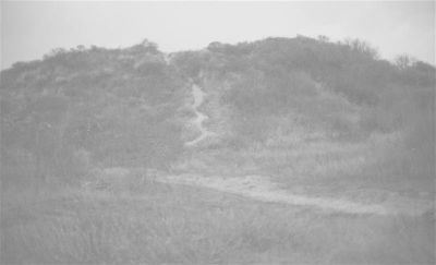 Automne_2009010.jpg