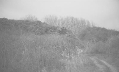 Automne_2009011.jpg