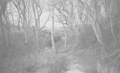 Automne_2009012.jpg