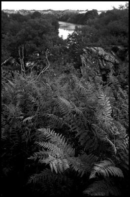 2009_9_25_2375_00002.jpg