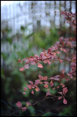 DSC_1605.jpg