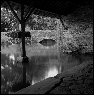 ND8003.jpg