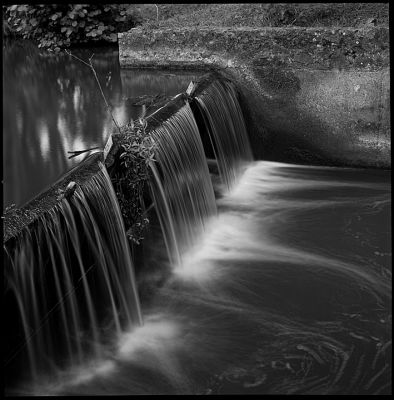 ND8004.jpg