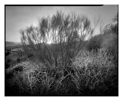 Sedella_ete_2022_4x5_05forum.jpg