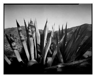 Sedella_ete_2022_4x5_10forum.jpg