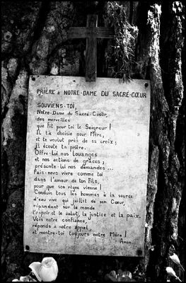 arbres_a_clous_01.JPG