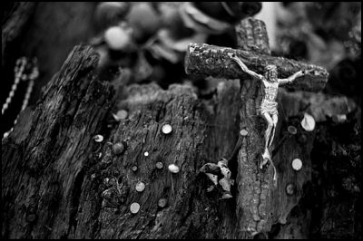 arbres_a_clous_04.JPG