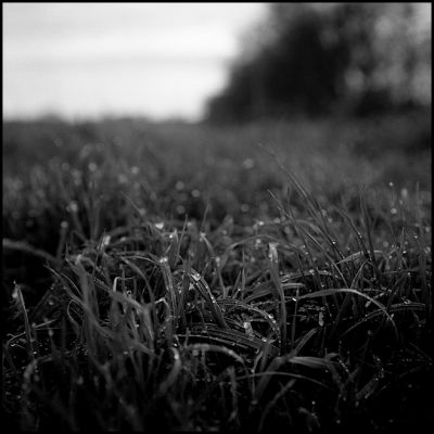 bokeh.jpg