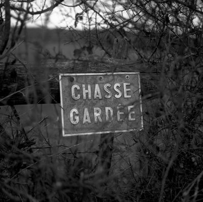 chasse.jpg