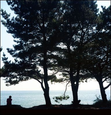 golfe_001.jpg